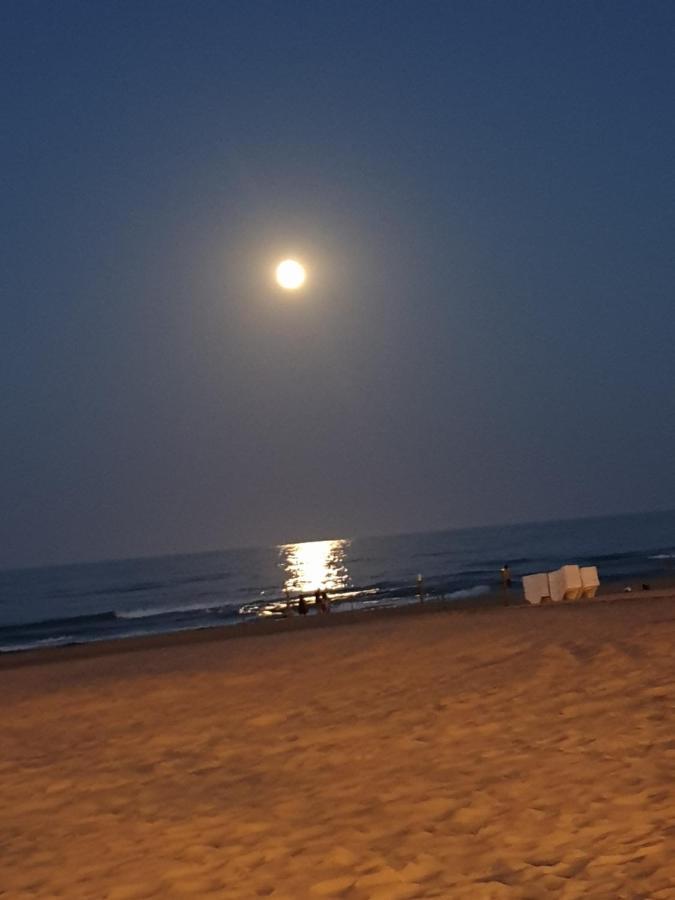 Apartamento En Primera Linea En La Playa De San Juan Benimagrell ภายนอก รูปภาพ